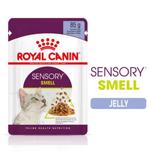 ROYAL CANIN Sensory Smell Chunks In Jelly - Drėgnas Pašaras Suaugusioms Katėms 12x85g