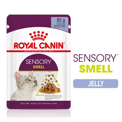 ROYAL CANIN Sensory Smell Chunks In Jelly - Wet Food For Adult Cats 12x85g