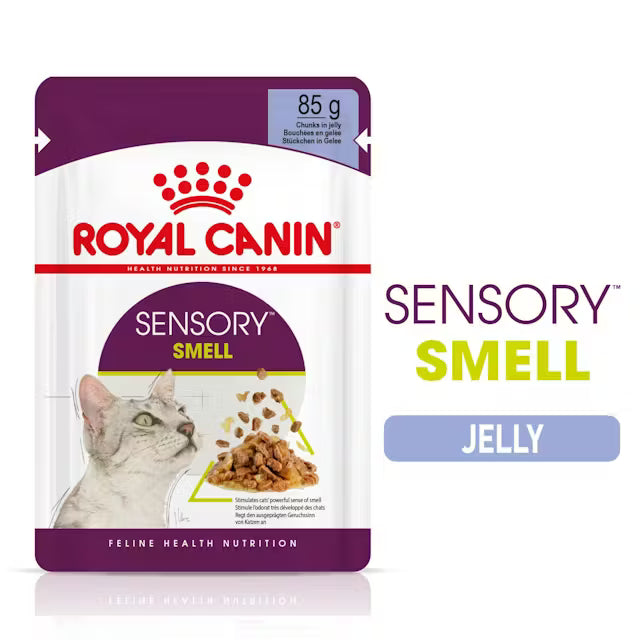 ROYAL CANIN Sensory Smell Chunks In Jelly - Drėgnas Pašaras Suaugusioms Katėms 12x85g