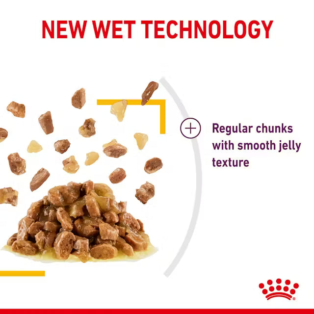 ROYAL CANIN Sensory Taste Chunks In Jelly - Wet Food for Adult Cats 12x85g
