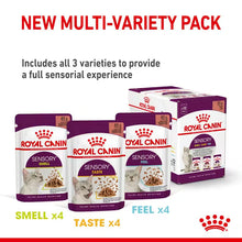 ROYAL CANIN Sensory Smell Chunks In Jelly - Drėgnas Pašaras Suaugusioms Katėms 12x85g