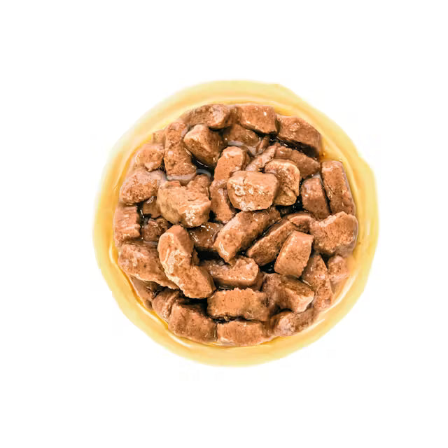 Royal Canin SHN Medium Ageing 10+ In Gravy - Drėgnas Pašaras Vidutinių Veislių Vyresnio Amžiaus Šunims 10x140g