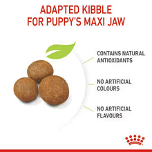 Royal Canin Maxi Puppy  sausas pašaras - Didelių veislių šuniukams
