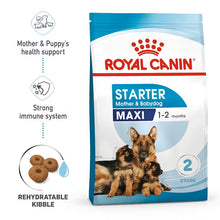 Royal Canin Starter Mother & Babydog Maxi sausas pašaras - Didelių veislių kalėms ir šuniukams