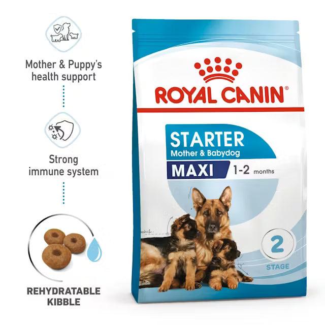 Royal Canin Starter Mother & Babydog Maxi sausas pašaras - Didelių veislių kalėms ir šuniukams