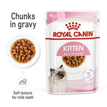 KITTEN Chunks in gravy drėgnas pašaras katei