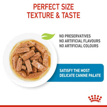 ROYAL CANIN Maxi Puppy Chunks In Gravy - Drėgnas Pašaras Dideliems Šuniukams 10x140g