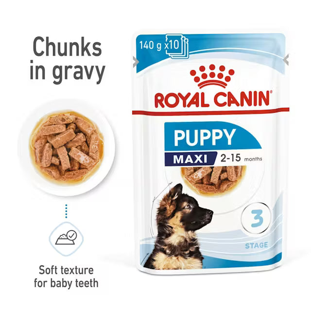 ROYAL CANIN Maxi Puppy Chunks In Gravy - Drėgnas Pašaras Dideliems Šuniukams 10x140g