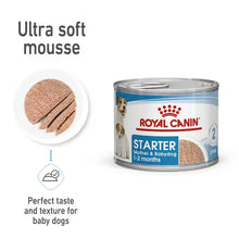 Royal Canin Starter Mother &amp; Babydog - Ultra Soft Mousse - Mokra karma dla psów