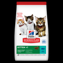 Hill's Science Plan Kitten sausas kačiukų maistas su lašiša, 1,5 kg