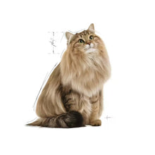 ROYAL CANIN Urinary Care Gravy - Wet Food for Adult Cats 12x85g