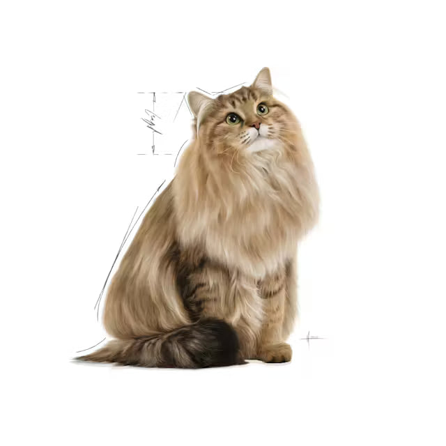 ROYAL CANIN Urinary Care Gravy - Wet Food for Adult Cats 12x85g