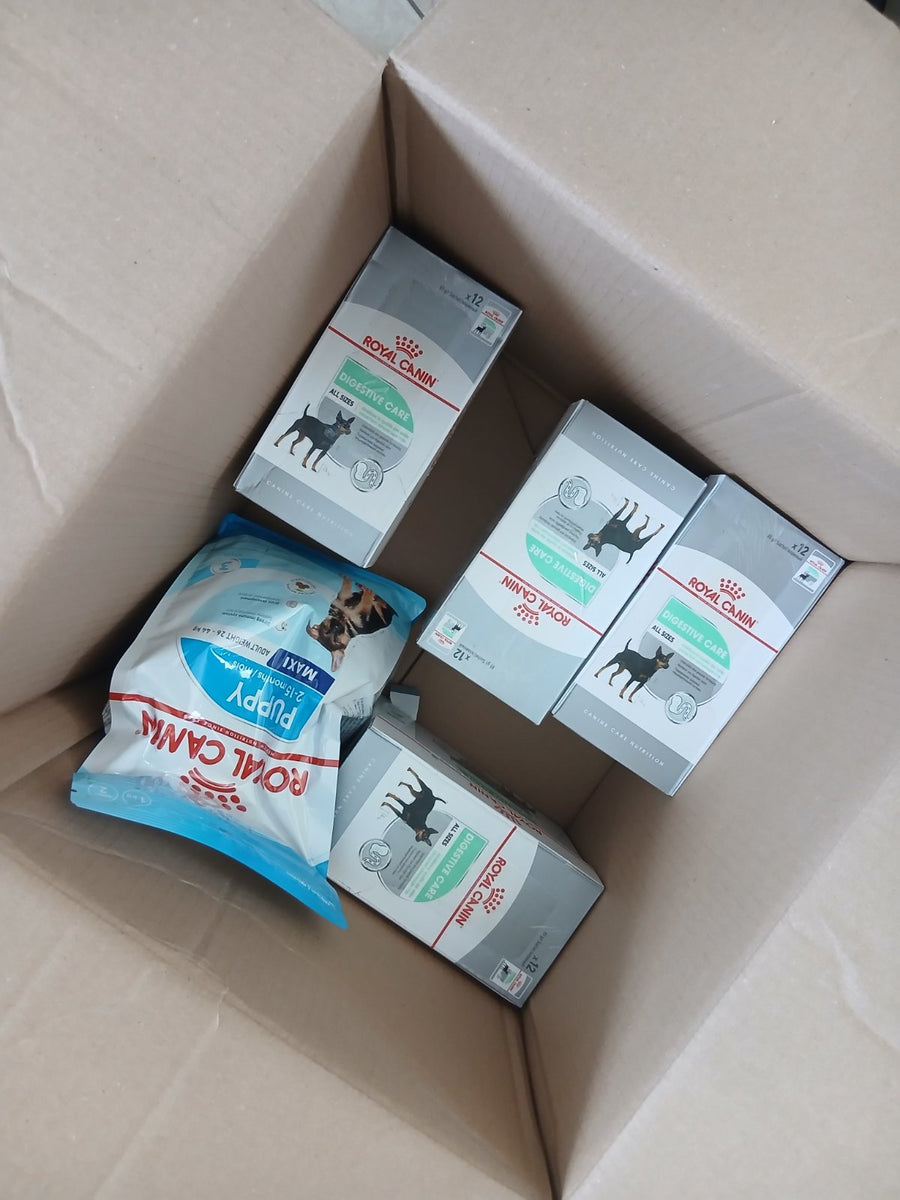 Royal Canin Maxi Puppy — starterio rinkinys šuniukams.